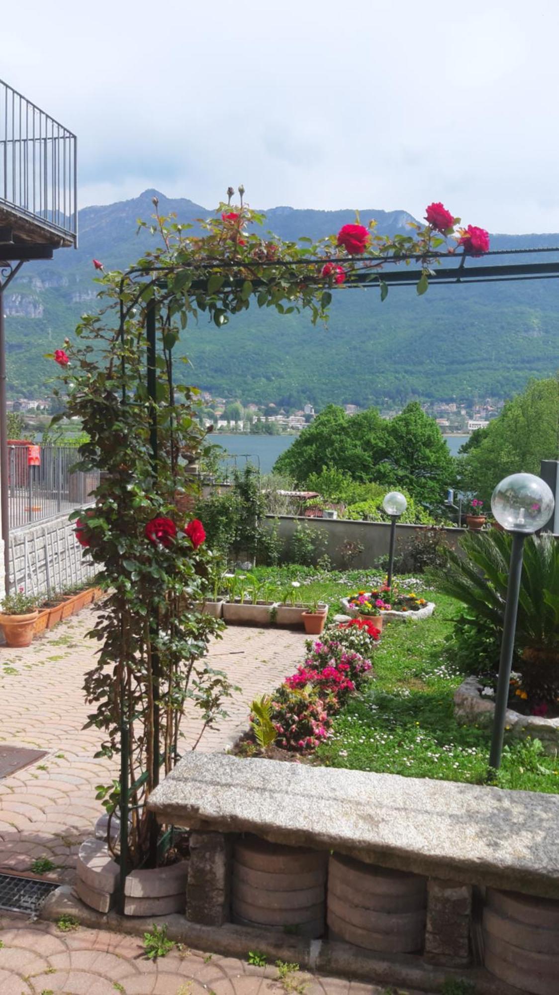 Le Rose Sul Lago Pescate Eksteriør billede
