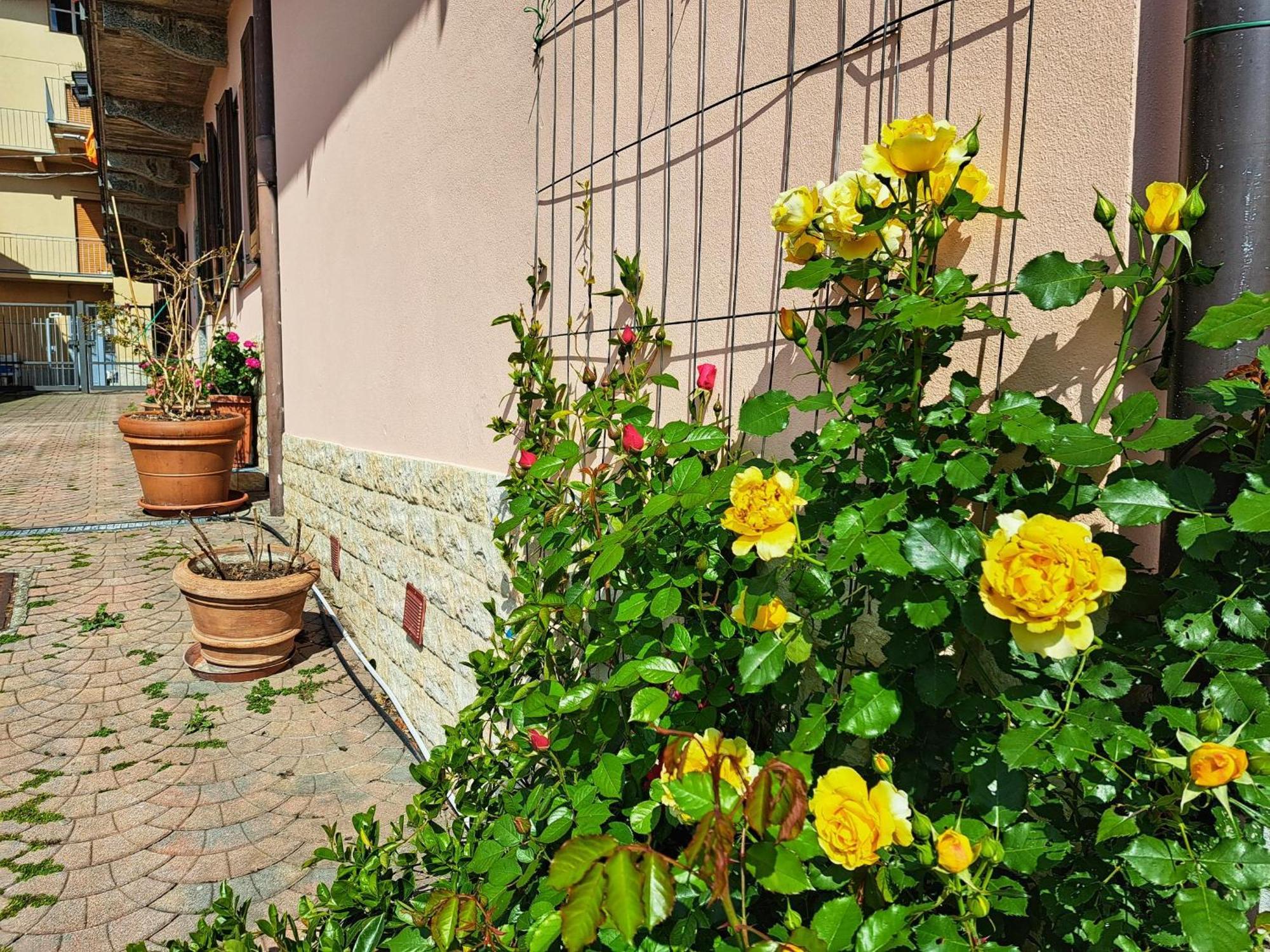 Le Rose Sul Lago Pescate Eksteriør billede