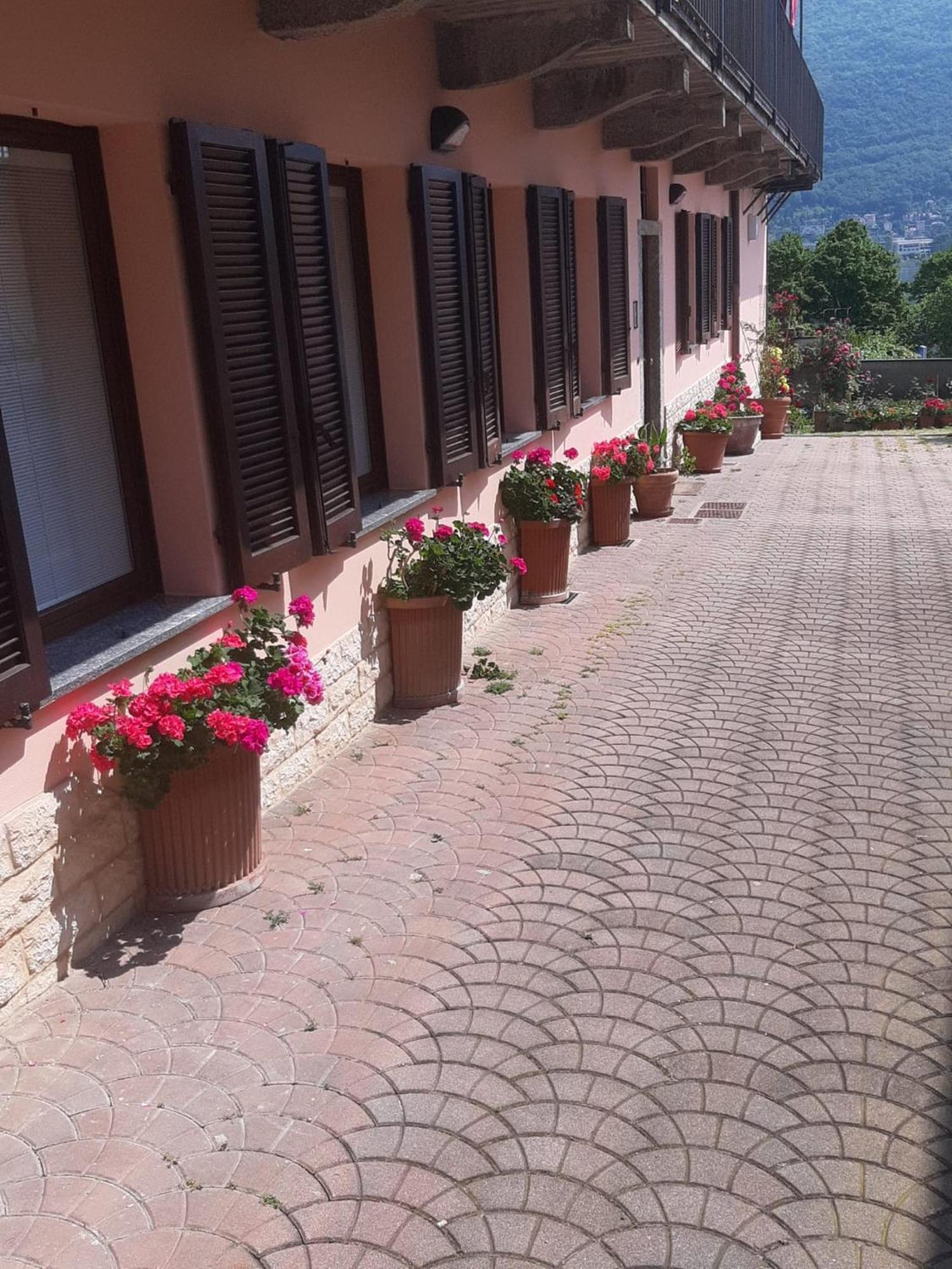 Le Rose Sul Lago Pescate Eksteriør billede