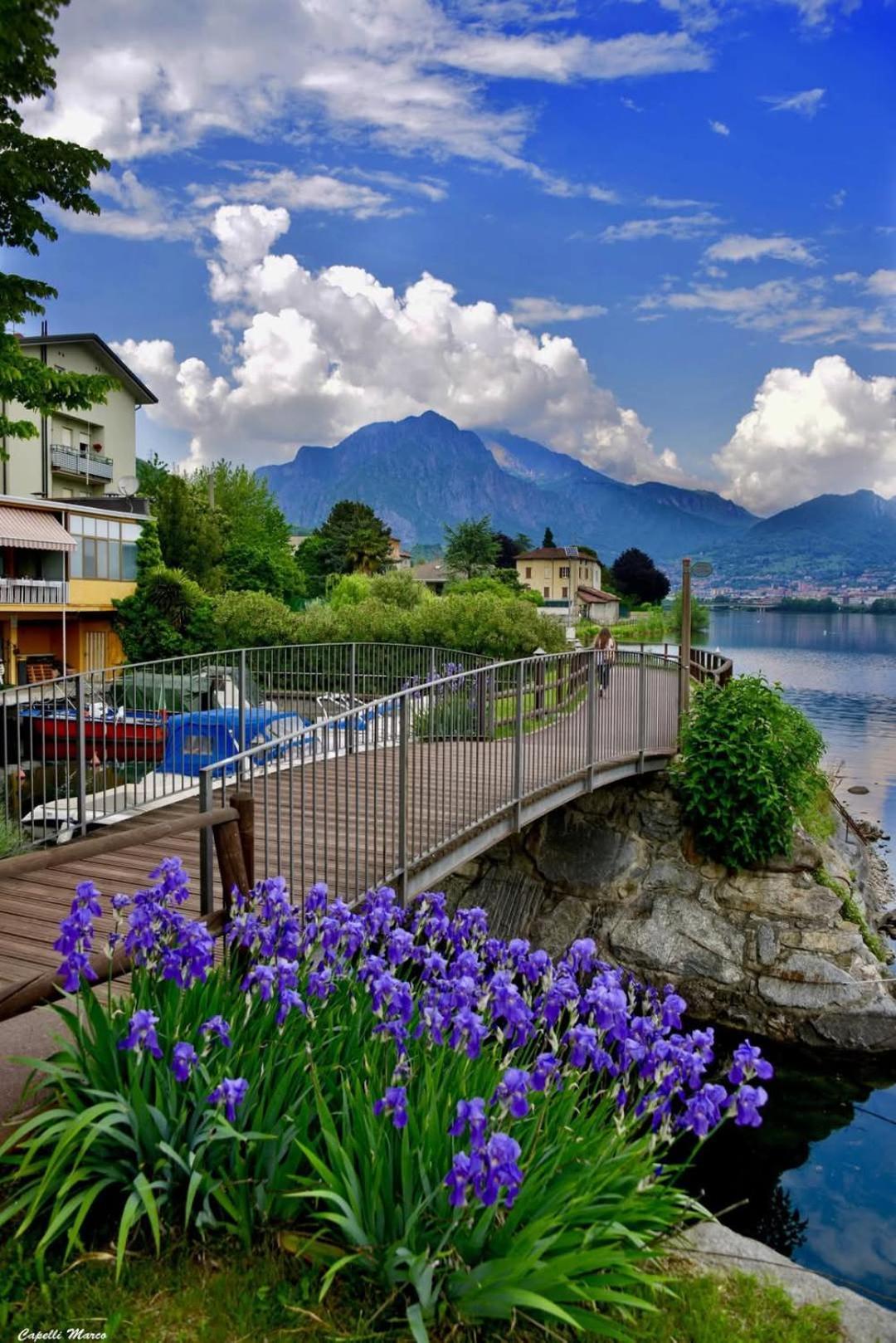 Le Rose Sul Lago Pescate Eksteriør billede